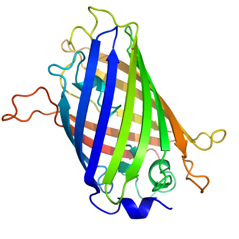 Raumstruktur Grün-fluoreszierendes Protein GFP