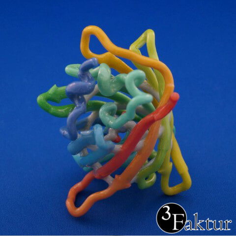 Colorjet 3D-Druck Molekuelmodell GFP