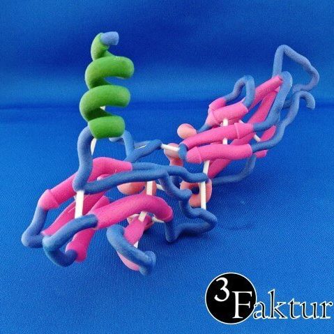3D printed protein model