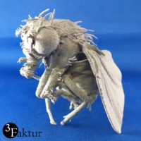 3D Modell Drosophila Melanogaster
